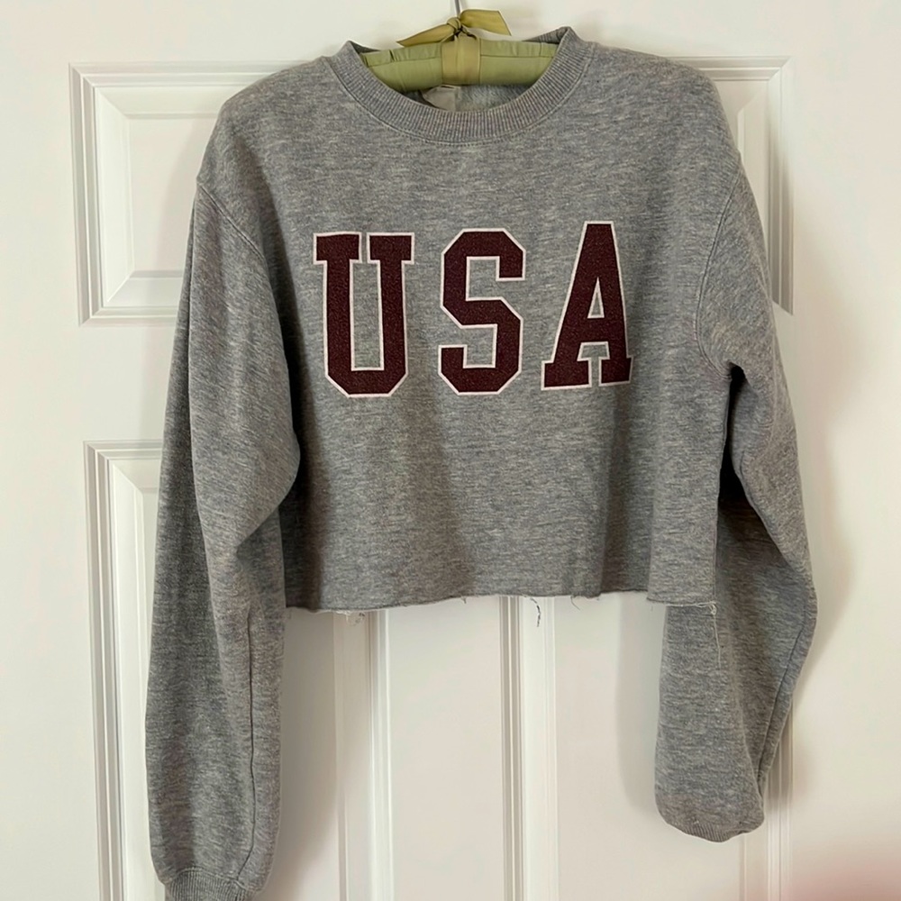 John Galt x Brandy Melville Cropped USA Sweatshirt. Used. One size.